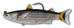 Live Target Mullet & Herring Swimbaits 14 Live Target Mullet & Herring Swimbaits -Angling Sale Shop 8091 b84864f3 9912 437e a781 06102eb9375c