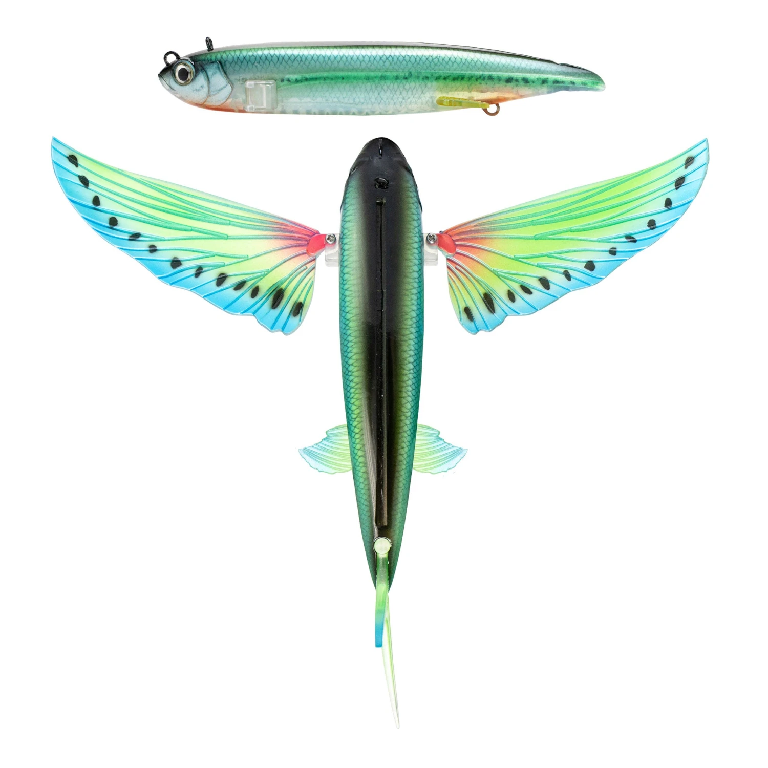 Nomad Flying Fish 200mm 5 Nomad Flying Fish 200mm - Image 3