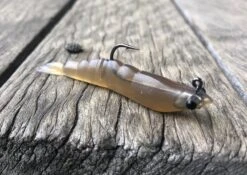 MMD Soft Prawn -Angling Sale Shop IMG 2777 1024x1024 2x bc9f0cc6 65d3 4a79 bf5e 2635db8759f9