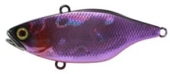 Jackall TN Series Vibes -Angling Sale Shop Purple 0715e9c0 2cc0 4bb9 99ea 315826e12937