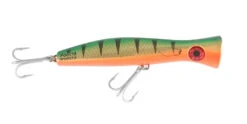 Halco Roosta Popper 195 -Angling Sale Shop RP195r26 png d7459181 b63c 4d4d 940f 12f3bcc00606