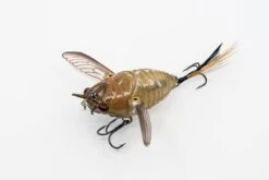 Chasebaits Ripple Cicada -Angling Sale Shop Ripple Cicada RC43 04 Brown Drummer