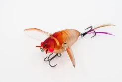 Chasebaits Ripple Cicada -Angling Sale Shop Ripple Cicada RC43 05 Pink Stunner