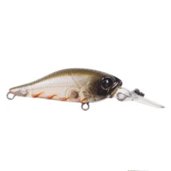 Atomic Hardz Shad Deep 40mm -Angling Sale Shop Tristoseagle