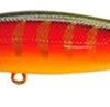 Lucky Craft Pointer 100 SP -Angling Sale Shop disco
