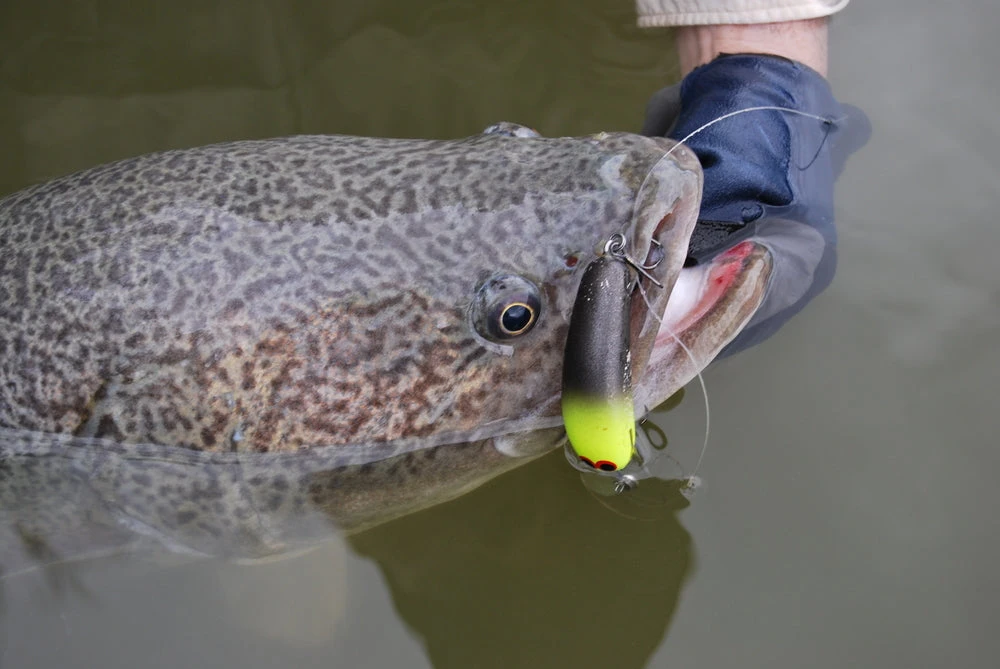 Mustad TG76 KVD Treble 3 Mustad TG76 KVD Treble