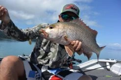 Tackle Tactics Jig Spinners -Angling Sale Shop full 1269