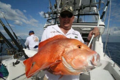 Wilson Aussie Made Fibreglass Gaffs 13 Wilson Aussie Made Fibreglass Gaffs -Angling Sale Shop full 1791 IMG 9591