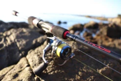 TTRods Red Belly Spin Rods 9 TTRods Red Belly Spin Rods -Angling Sale Shop full 3271 TTRods RedBelly Outdoor 13 web