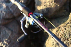 TTRods Red Belly Spin Rods 8 TTRods Red Belly Spin Rods -Angling Sale Shop full 3272 TTRods RedBelly Outdoor 03 web