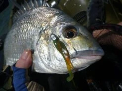 Tackle Tactics Finesse HeadlockZ Jig Heads -Angling Sale Shop full 453