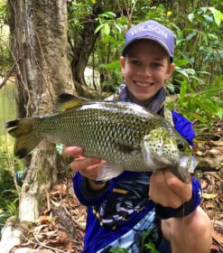 Zerek Absolute Shrimp -Angling Sale Shop full 4737 IMG E3992