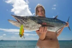 TT Switchblade HD Vibe 11 TT Switchblade HD Vibe -Angling Sale Shop full 520