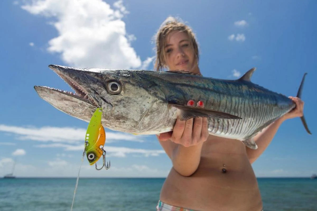 TT Switchblade HD Vibe 6 TT Switchblade HD Vibe - Image 4