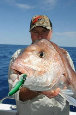 TT Switchblade HD Vibe 13 TT Switchblade HD Vibe -Angling Sale Shop full 523