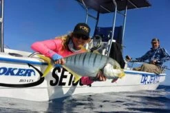 TT Switchblade HD Vibe 12 TT Switchblade HD Vibe -Angling Sale Shop full 527