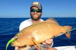 Tackle Tactics HeadlockZ HD Jig Heads -Angling Sale Shop full 777