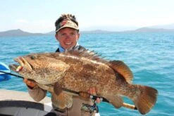 Tackle Tactics HeadlockZ HD Jig Heads -Angling Sale Shop full 779