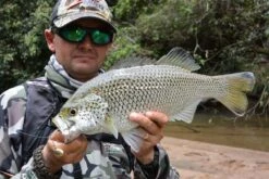 Tackle Tactics Jig Spinners -Angling Sale Shop full 904