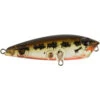Atomic Hardz Pop 50 2 Atomic Hardz Pop 50 -Angling Sale Shop gbs