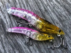 MMD Splash Prawns -Angling Sale Shop hot pink