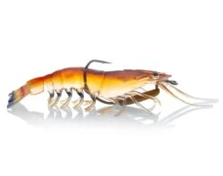 ChaseBaits Flick Prawn 18 ChaseBaits Flick Prawn -Angling Sale Shop native prawn cf41f826 ce01 4b6e bf00 36ee68a97081