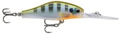 Rapala Shadow Rap Jack Deep 05 -Angling Sale Shop rapala shadow rap jack dep blue gill 1