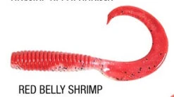 Berkley Gulp 6 Inch Grub Tail -Angling Sale Shop red belly shrimp