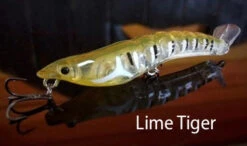 MMD Splash Prawns -Angling Sale Shop splash prawns lime tiger