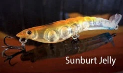 MMD Splash Prawns -Angling Sale Shop splash prawns sunburnt jelly